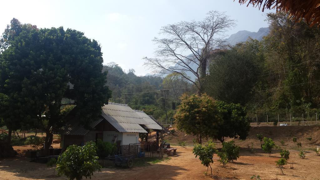 Doo-Dao-Doi Farm & Stay Chiang Dao Exterior foto