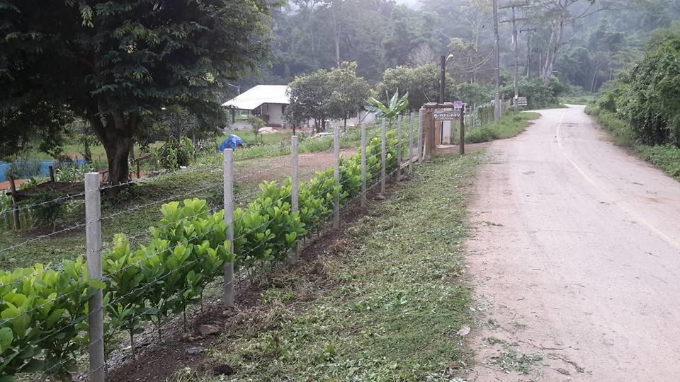 Doo-Dao-Doi Farm & Stay Chiang Dao Exterior foto